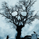 Illustration for article titled Neil Marshall and Darren Bousman are making a horror anthology movie